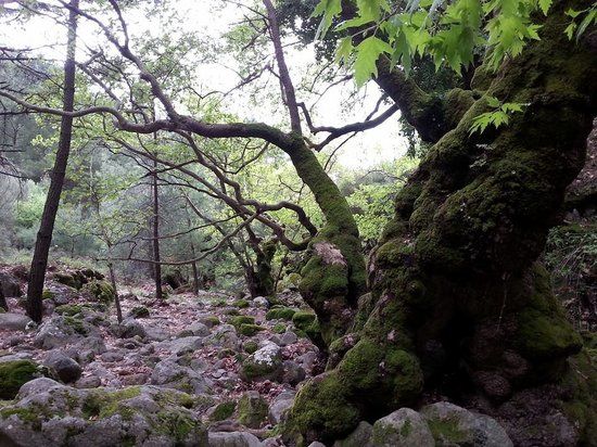 Waterfall of Klapados