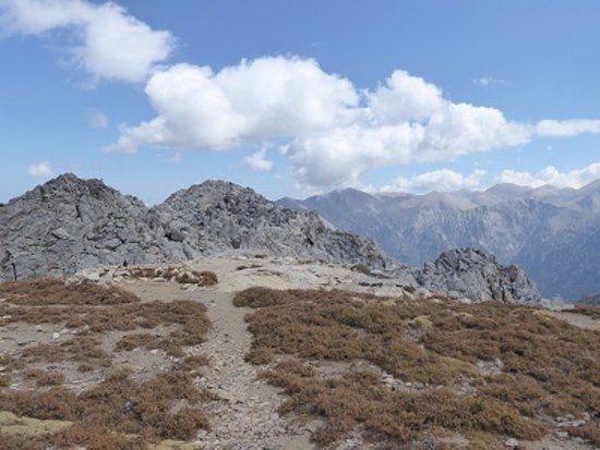 Summit of Gingilos