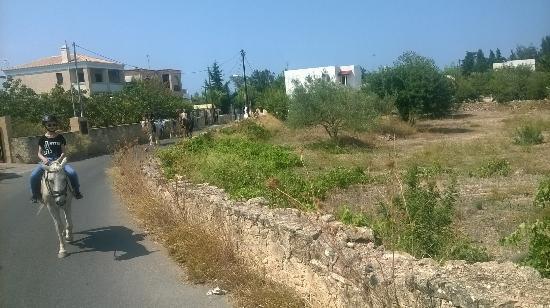 Horse riding on Aegina