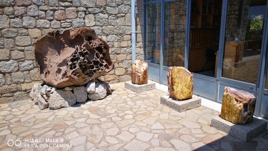 Natural History Museum of the Lesvos Petrified Forest