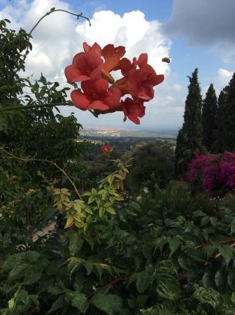 Monastery of Christ and St. Gedeon