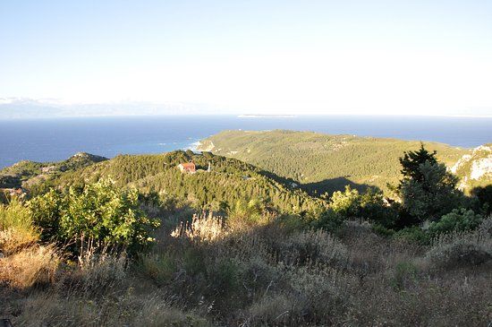 Faros