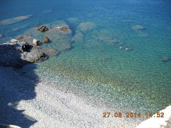 Bird Island