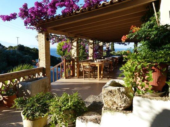 Taverna To Pelagaki