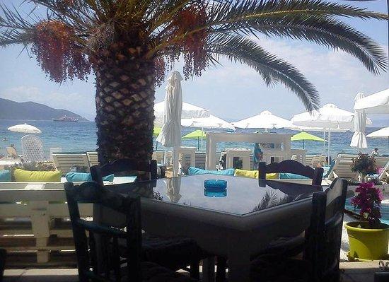 Ammos Cafe Restaurant