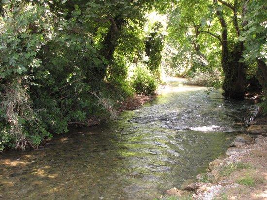 Taverna Tou Moustakia