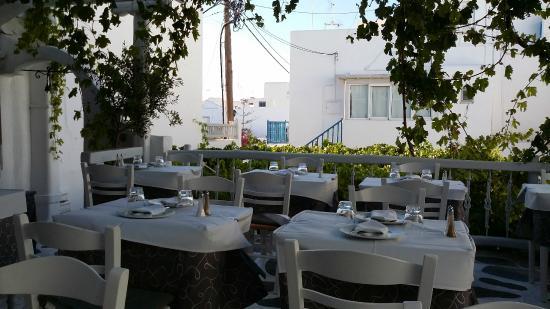 Eva's Garden