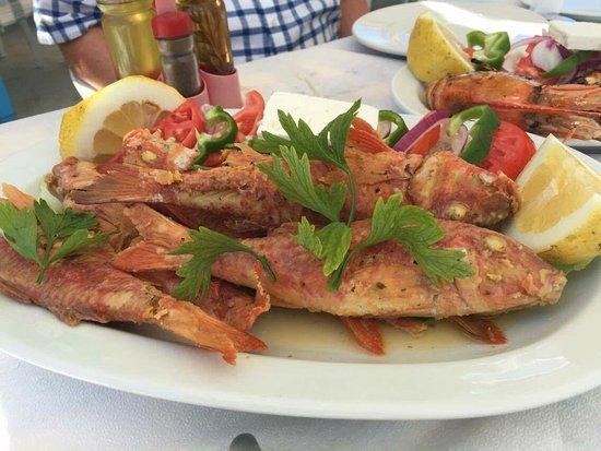 Original Taverna O Manthos