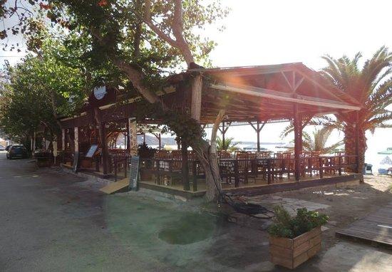 Medusa Taverna