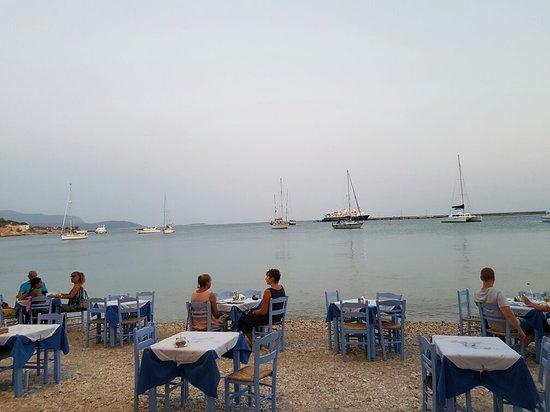Trata Greek Seafood & Oyster Tavern