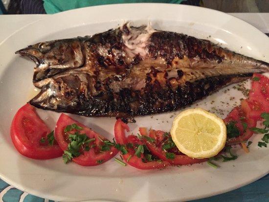 Ammos Seafood and More
