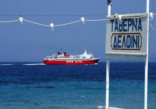 Taverna Delfini