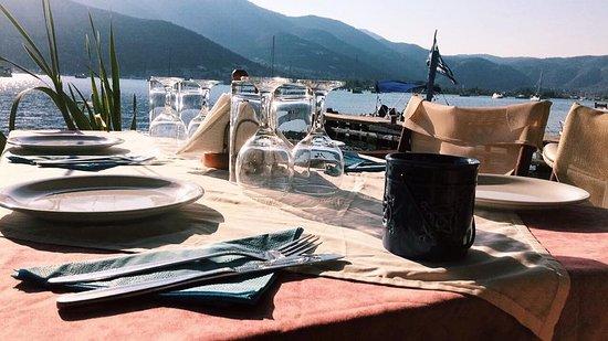 Hippocampus Taverna