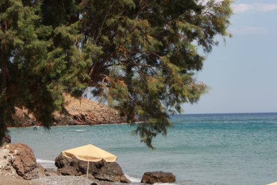 Taverna Elpidia