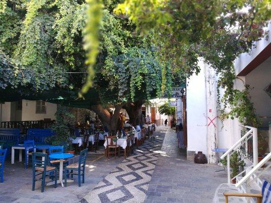 Vegos Restaurant