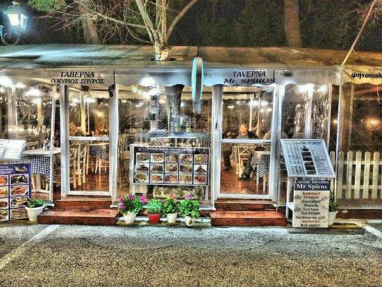 Mr Spiros Taverna