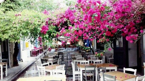 Taverna to Petrino