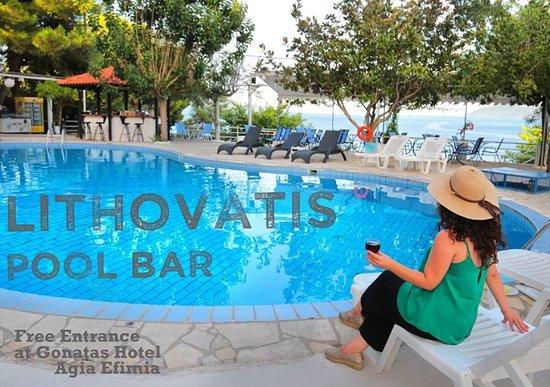 Lithovatis Poolbar