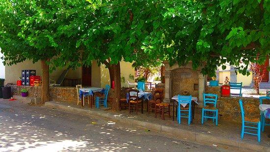Palaimylos