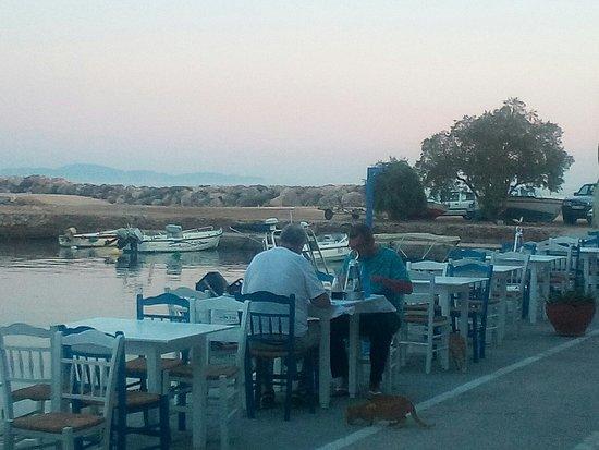Kavos