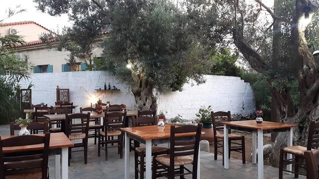 Restaurant Stella