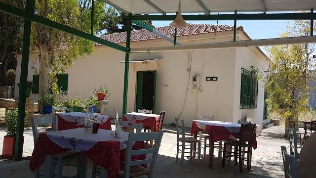 Ioannis Taverna