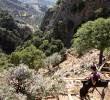 Platania gorge