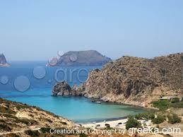 Plathiena