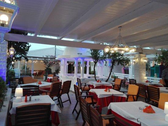 Cactus Restaurant