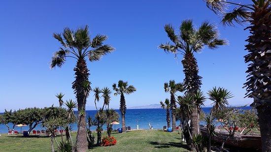 Dionisos-Steki