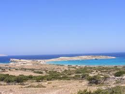 Paralia Pori