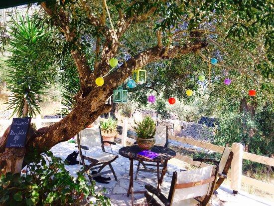 Kareklas Taverna