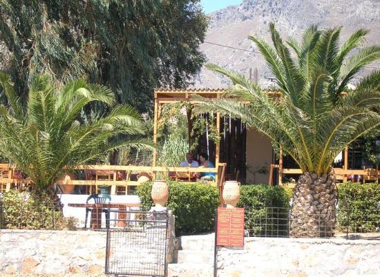 Zorbas Taverna