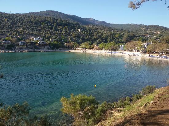 Aliki Restaurant Cafe