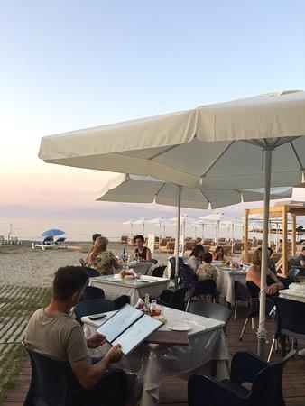 The Dolphin Restaurant