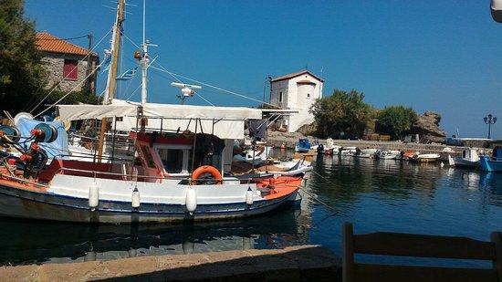 Kavos Cafe