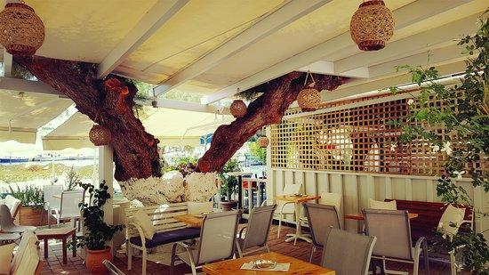 Rock N Rolla Seaside Cafe