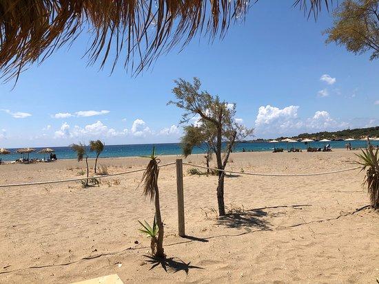 Ammos Beach Bar