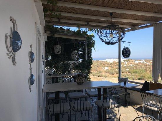 The Catch Sifnos