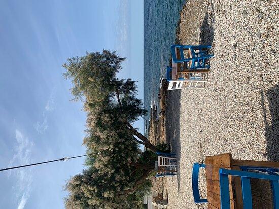 Alikia