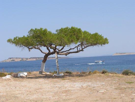 Spiaggia di Agios Stefanos