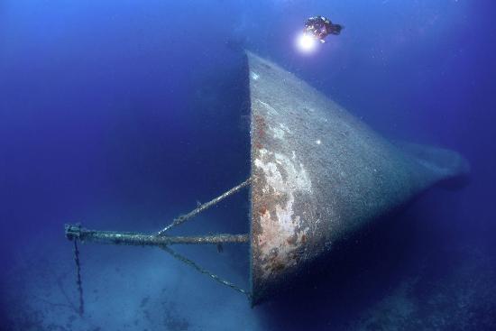 Blue Island Divers