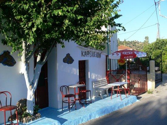 Steve's Music Bar