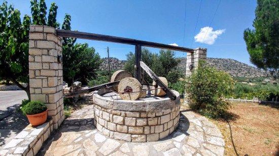 Paraschakis Olive Oil - Crete
