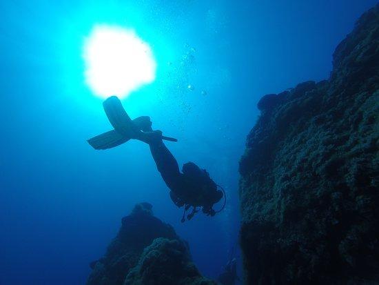Meltemi Dive Centre