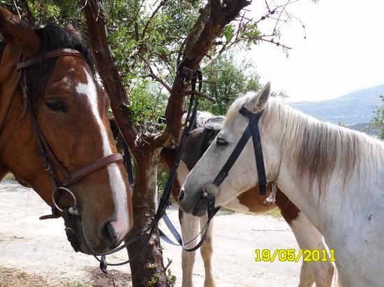 Finikia Horseriding