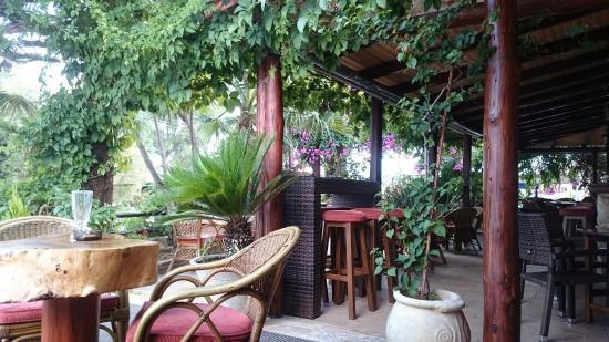 Oasis Bar