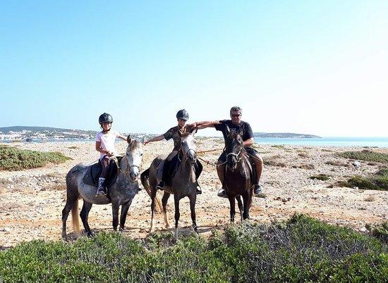 Thanasis Farm