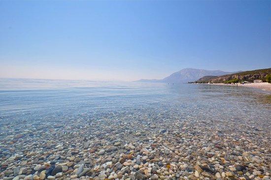 Rhenia Tours