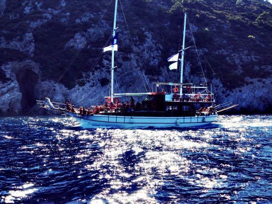 Captain's Boat Trips